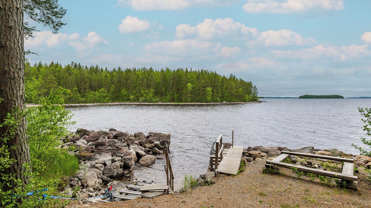 Photo of Others in Koli National Park