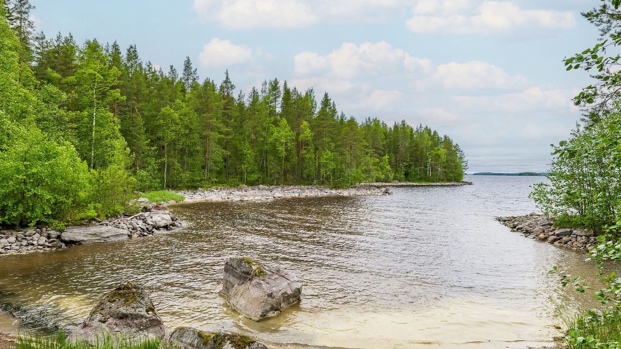 Photo of Others in Koli National Park