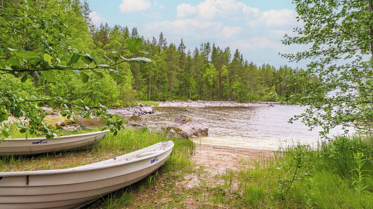 Photo of Others in Koli National Park