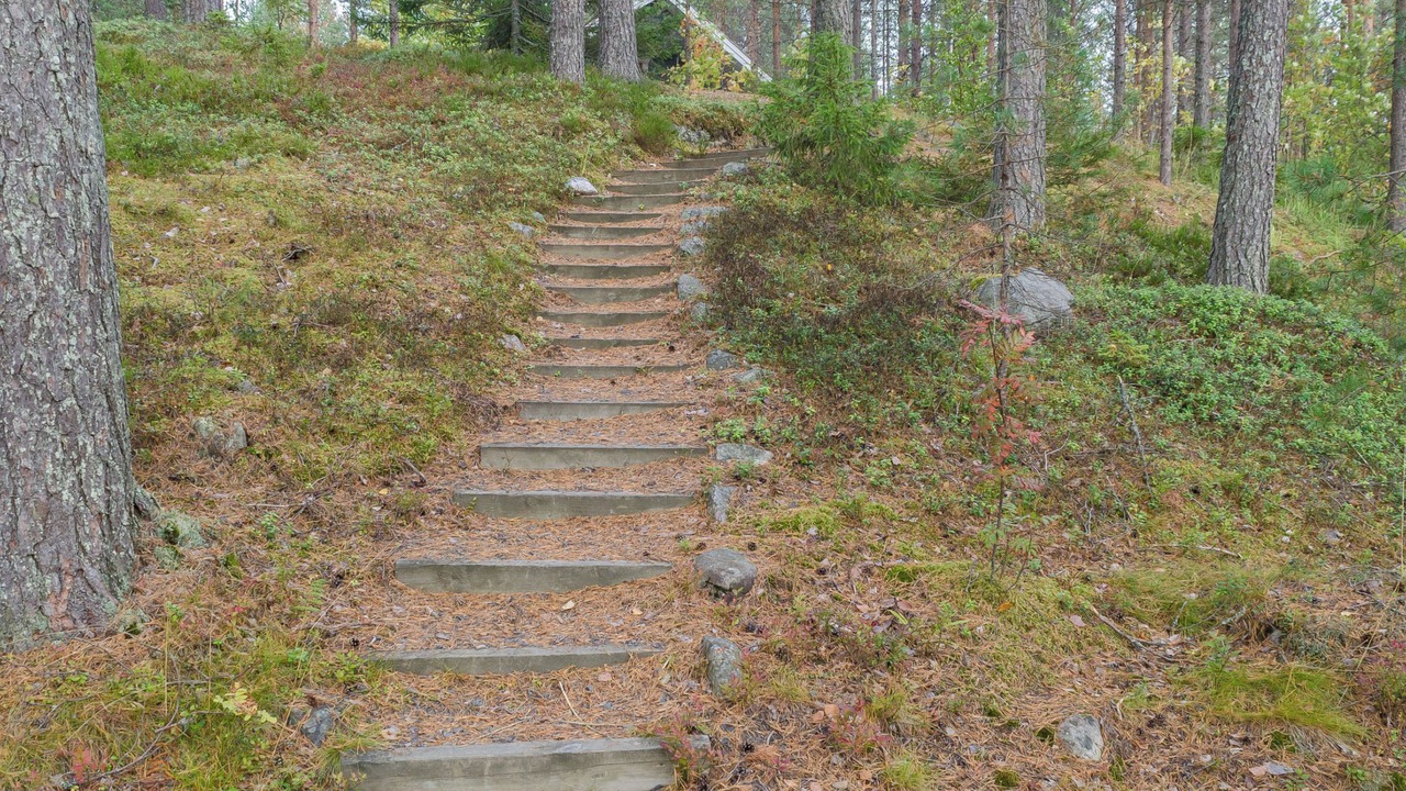 Photo of Others in Koli National Park