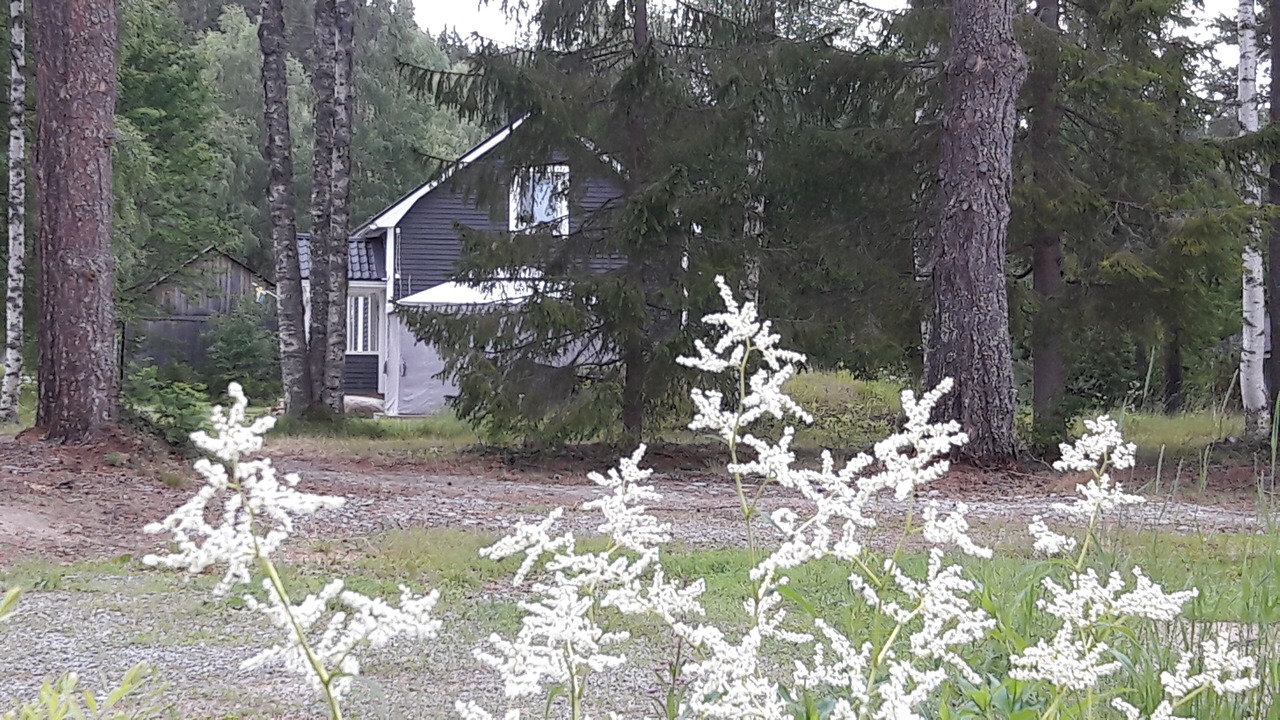 Photo of Outdoor in Solleftea Municipality
