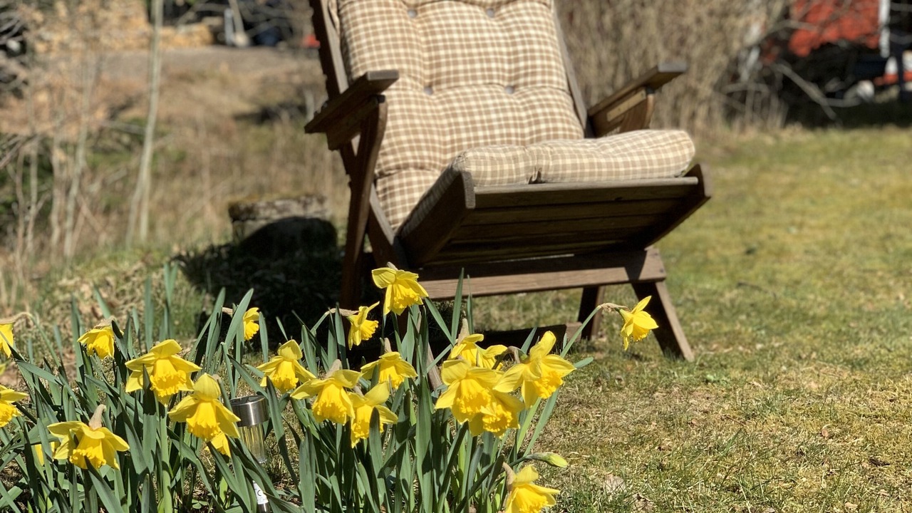 Photo of Outdoor in Fasalt
