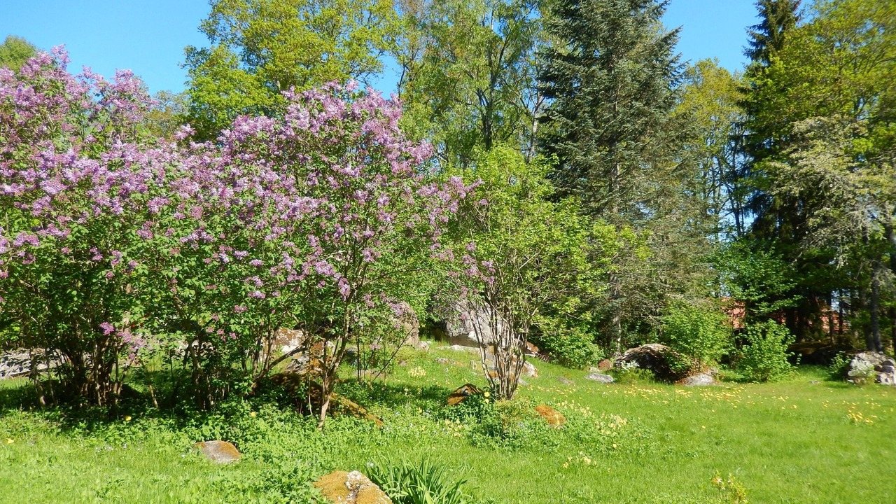 Photo of Outdoor in Fagelfors