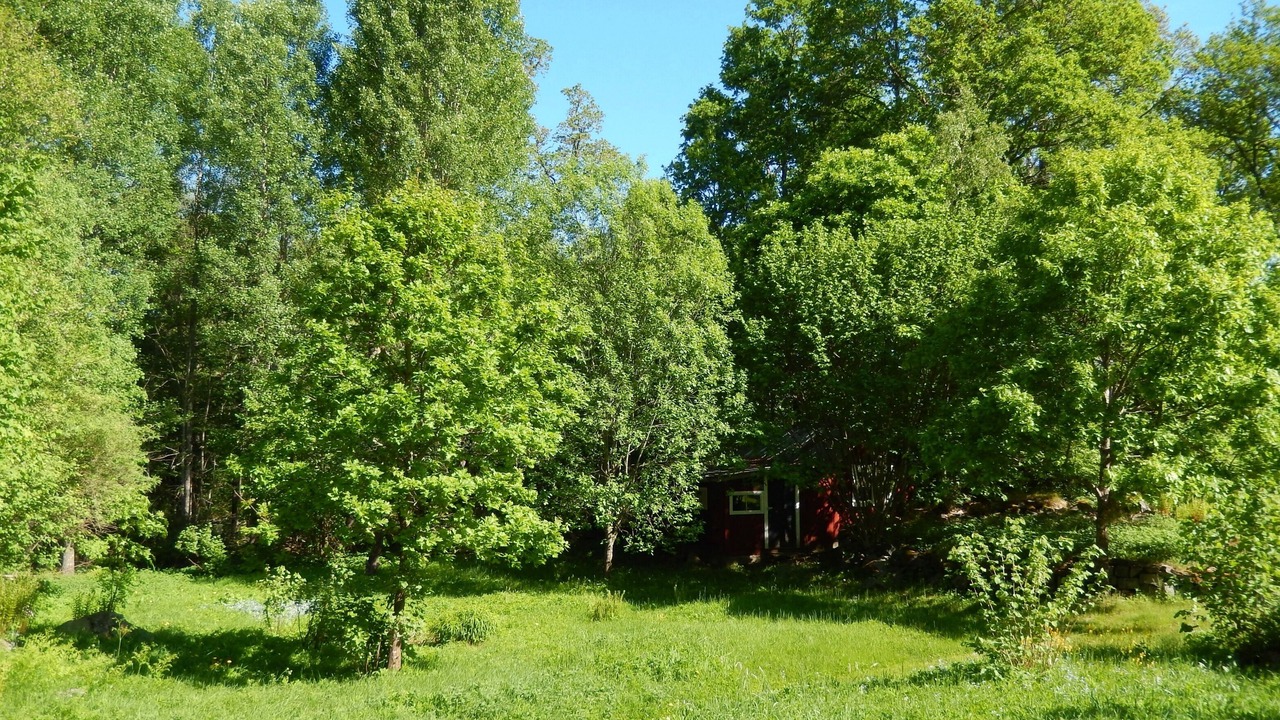 Photo of Outdoor in Fagelfors
