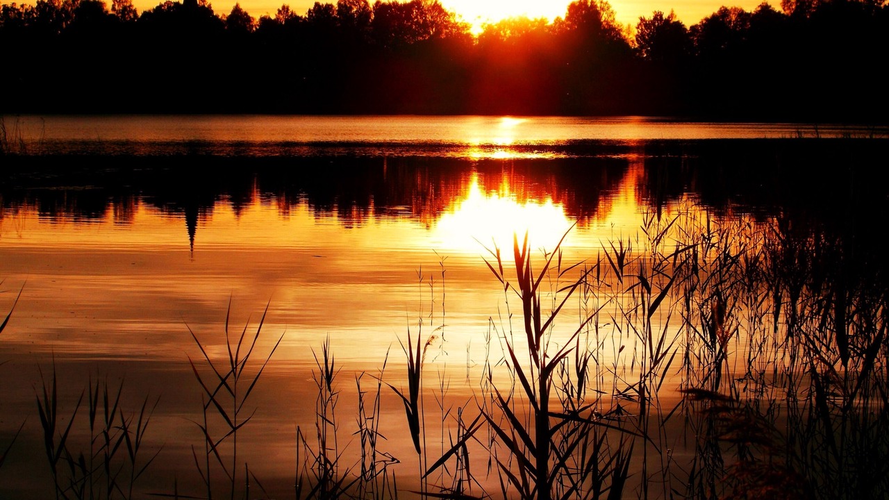 Photo of Others in Fagelfors