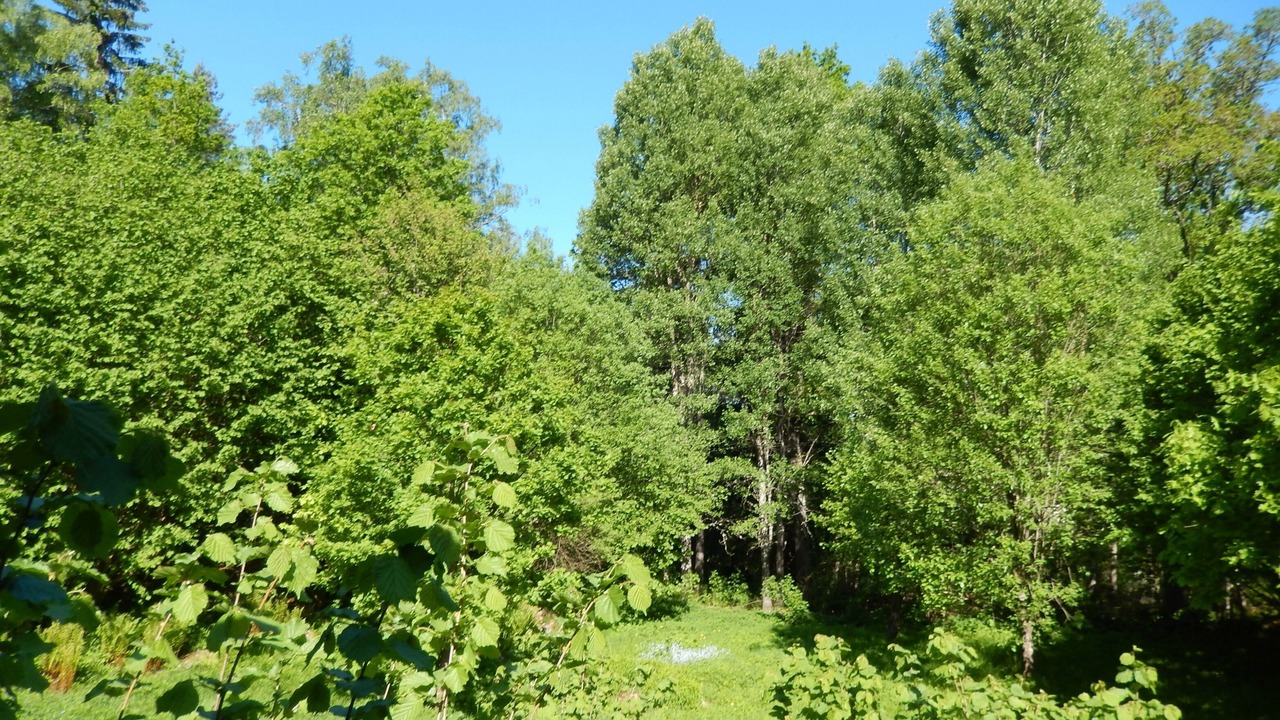 Photo of Others in Fagelfors