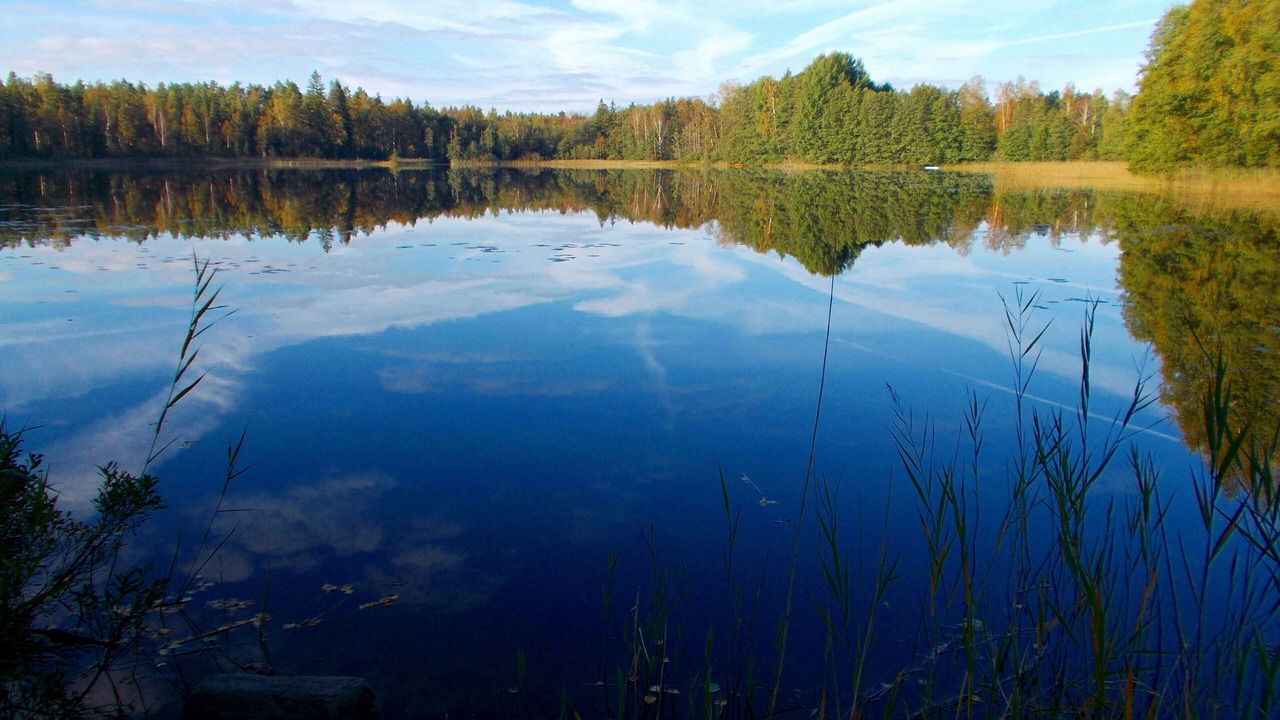 Photo of Others in Fagelfors