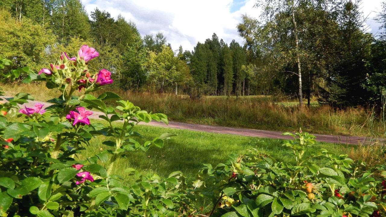 Photo of Outdoor in Fagerhult