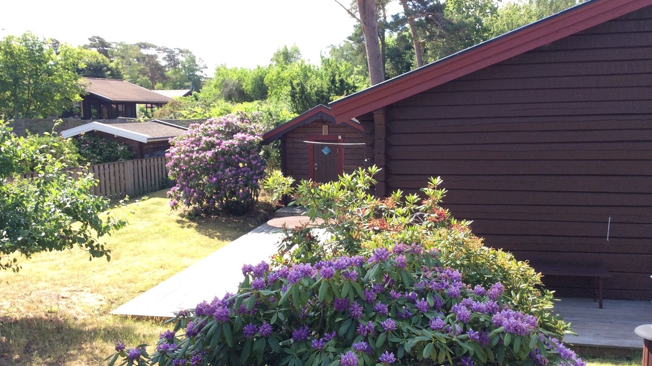 Photo of Outdoor in Mellbystrand