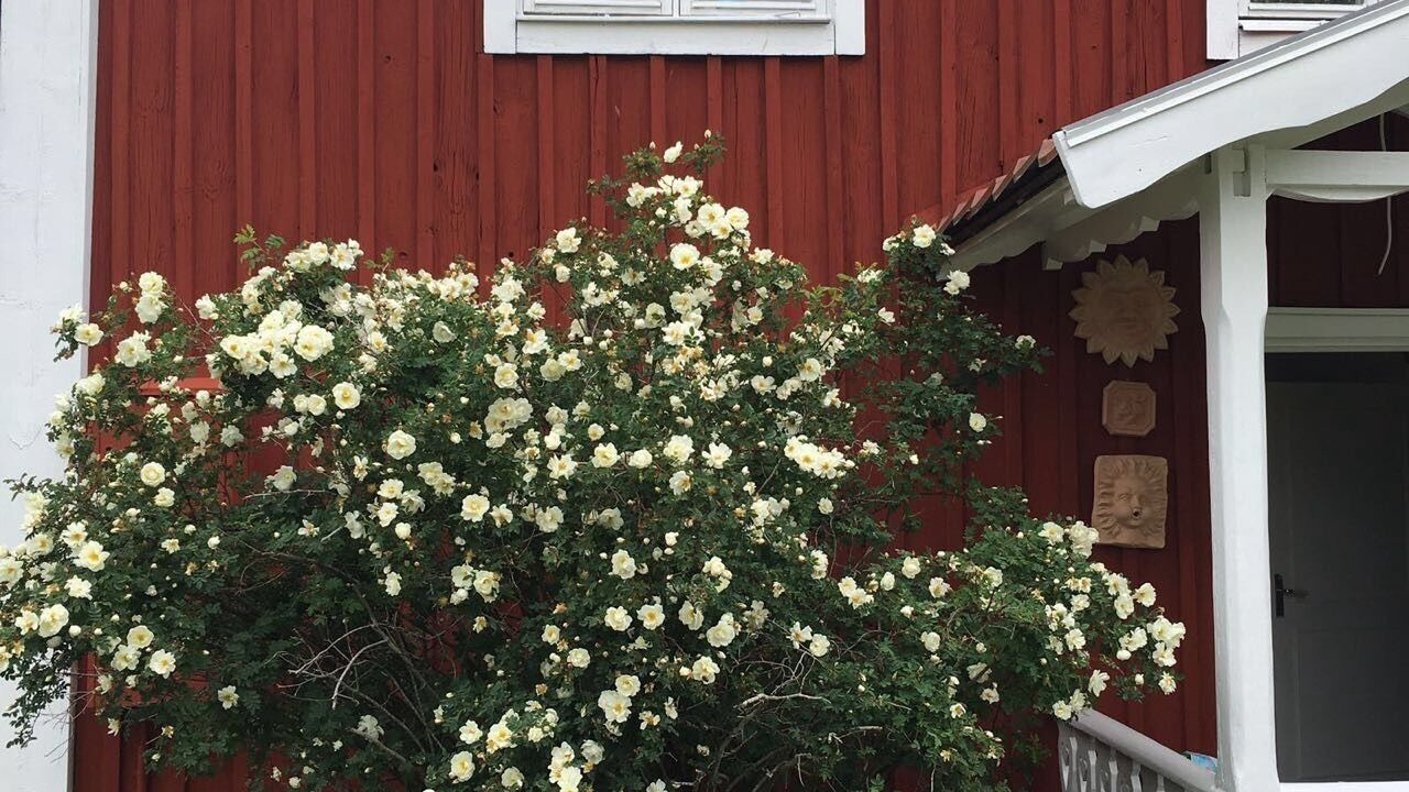 Photo of Outdoor in Hogsby