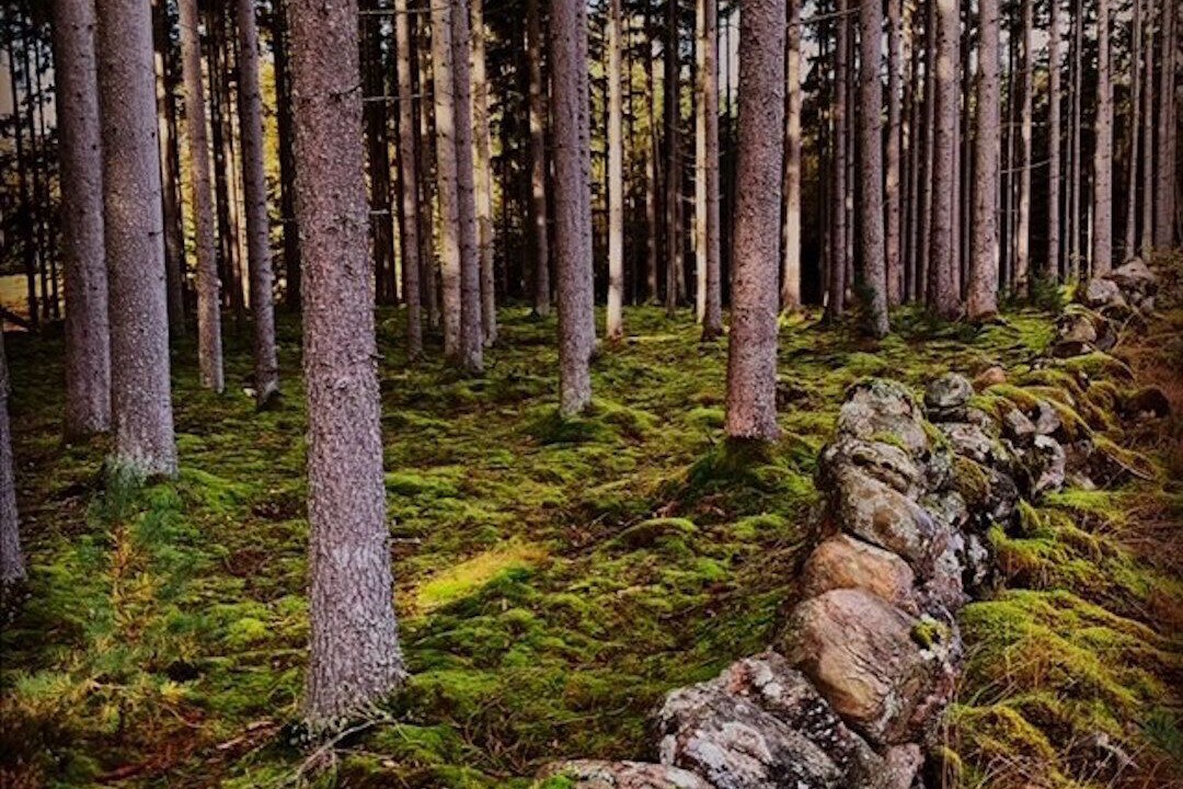 Photo of Outdoor in Vaxtorp