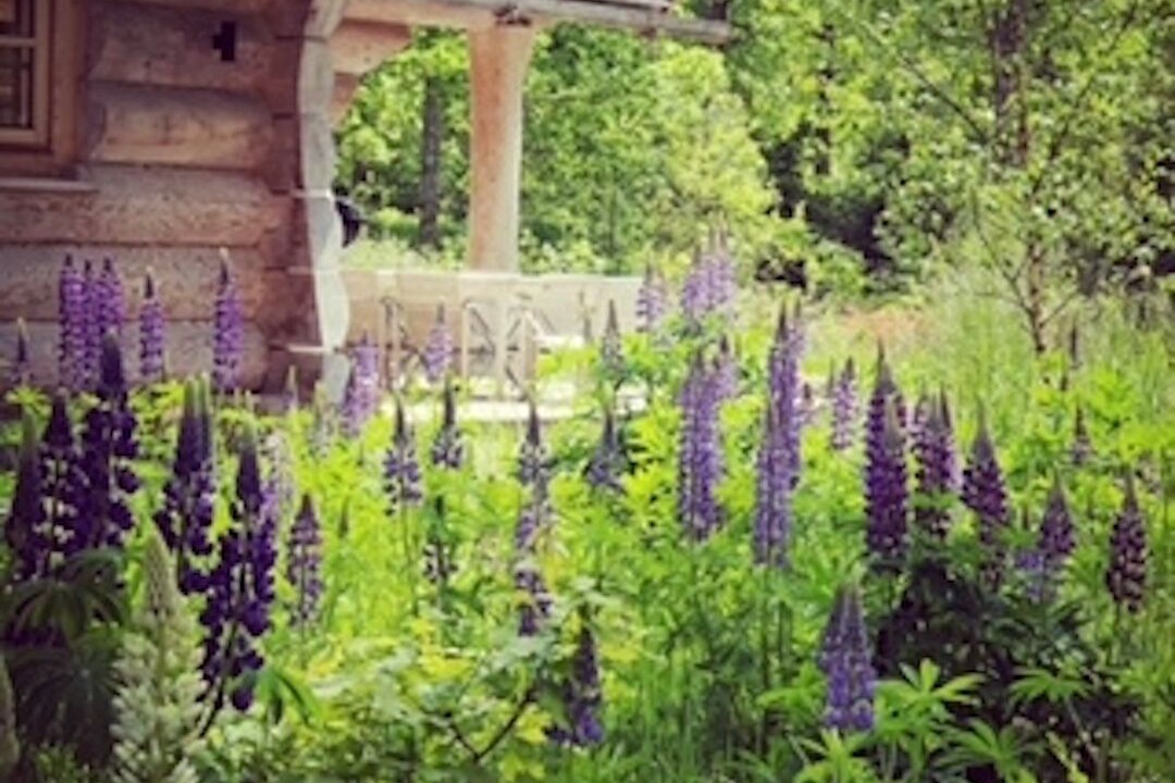 Photo of Outdoor in Vaxtorp