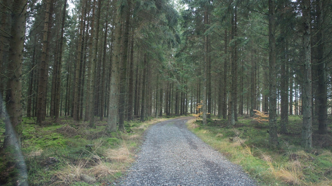 Photo of Outdoor in Perstorp