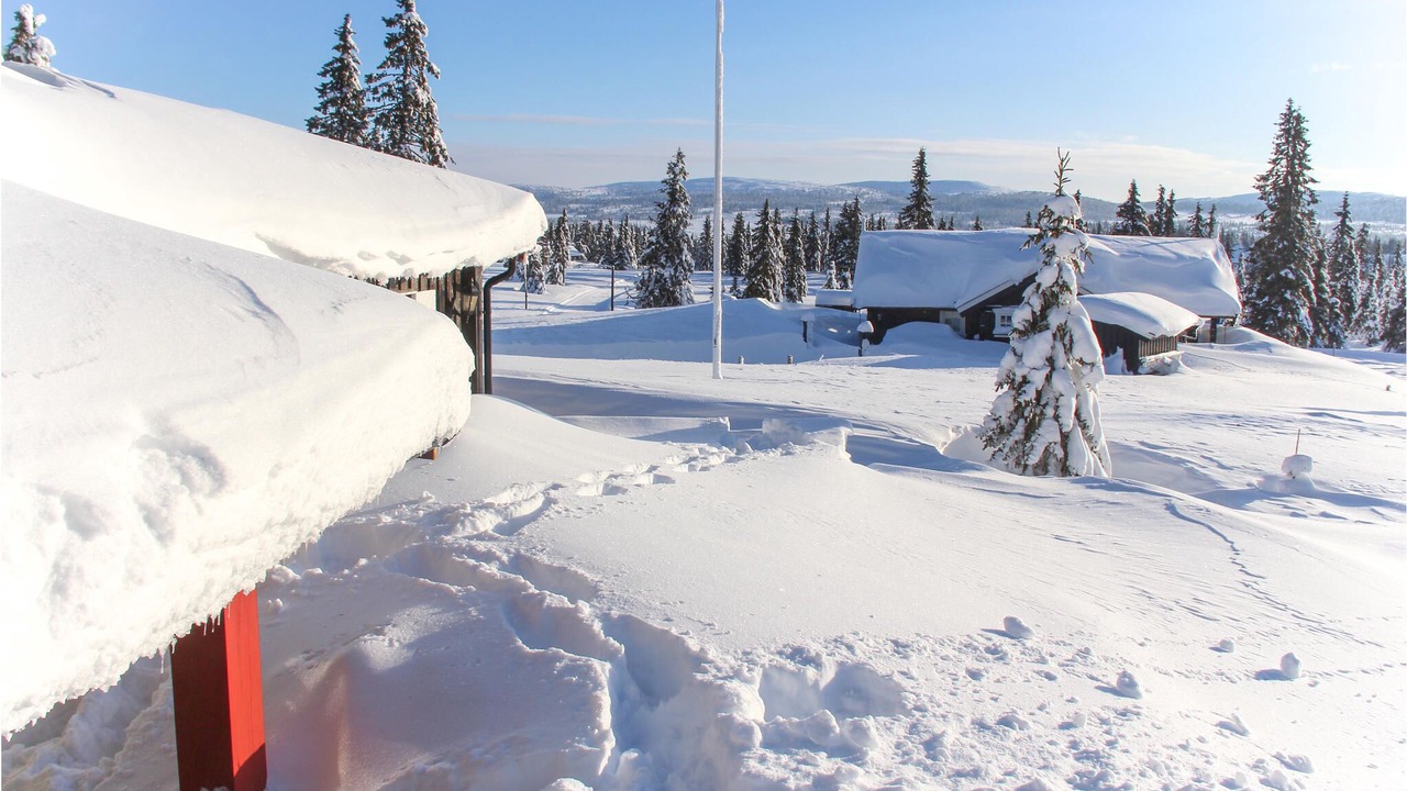 Photo of Others in Sjusjoen