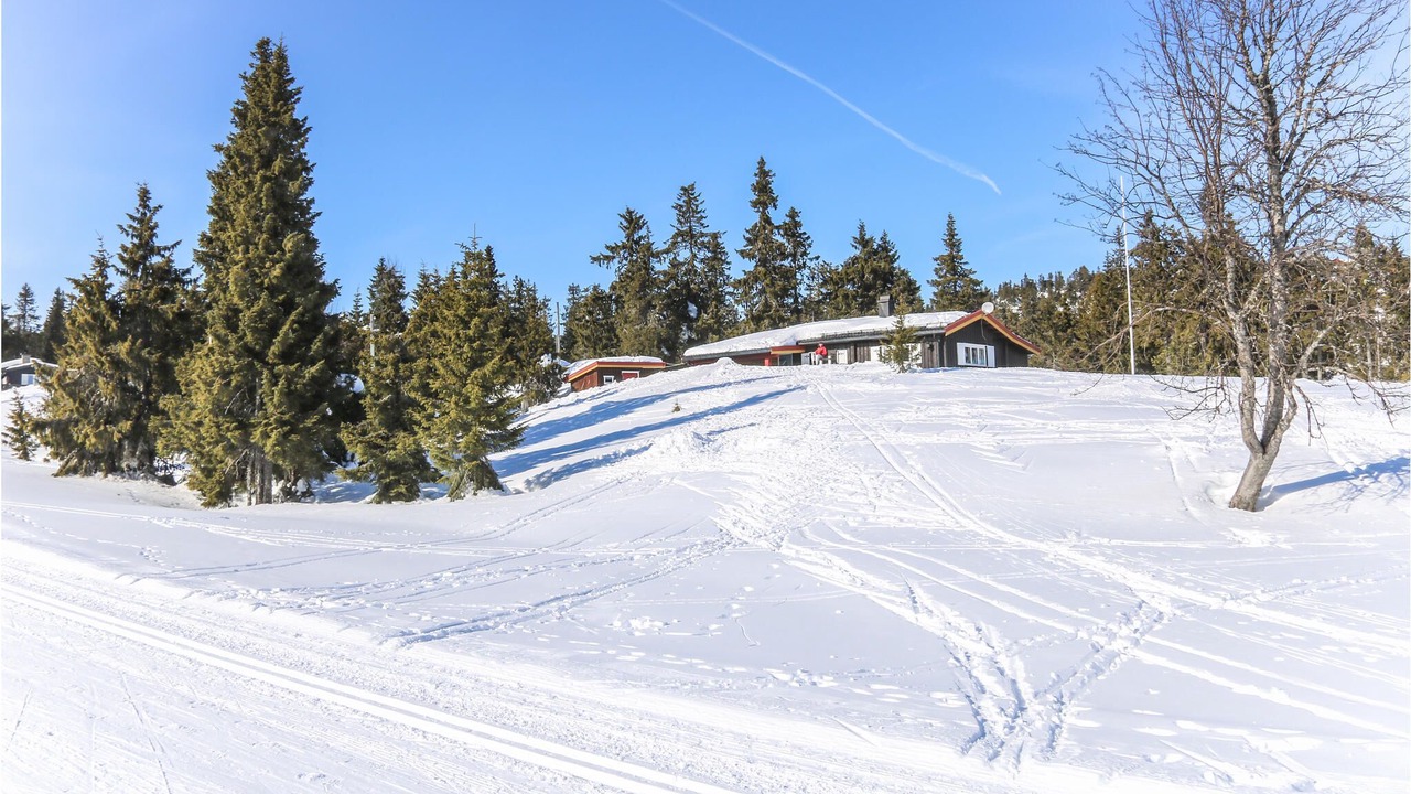 Photo of Others in Sjusjoen