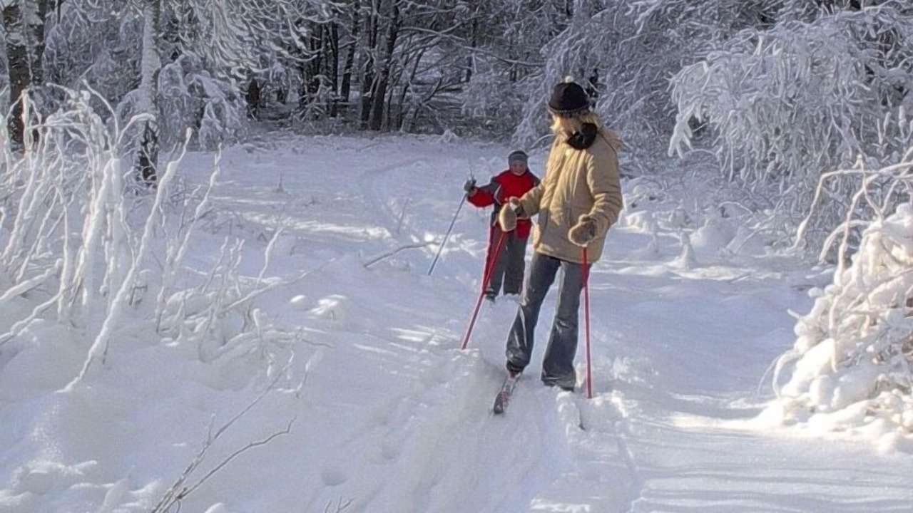 Photo of Others in Lappe