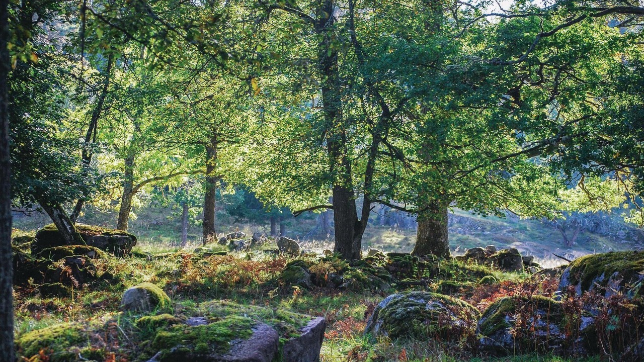 Photo of Others in Mantorp