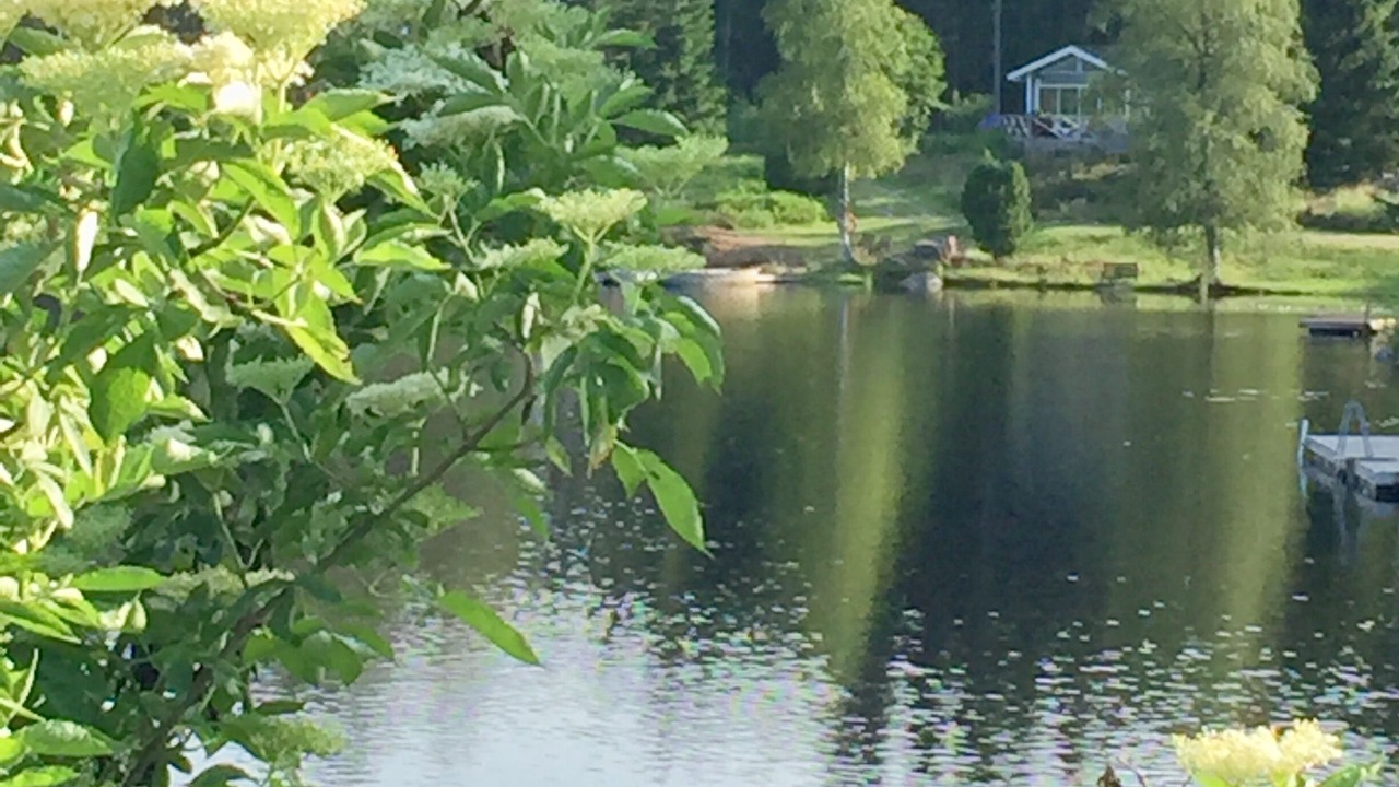 Photo of Others in Asbro