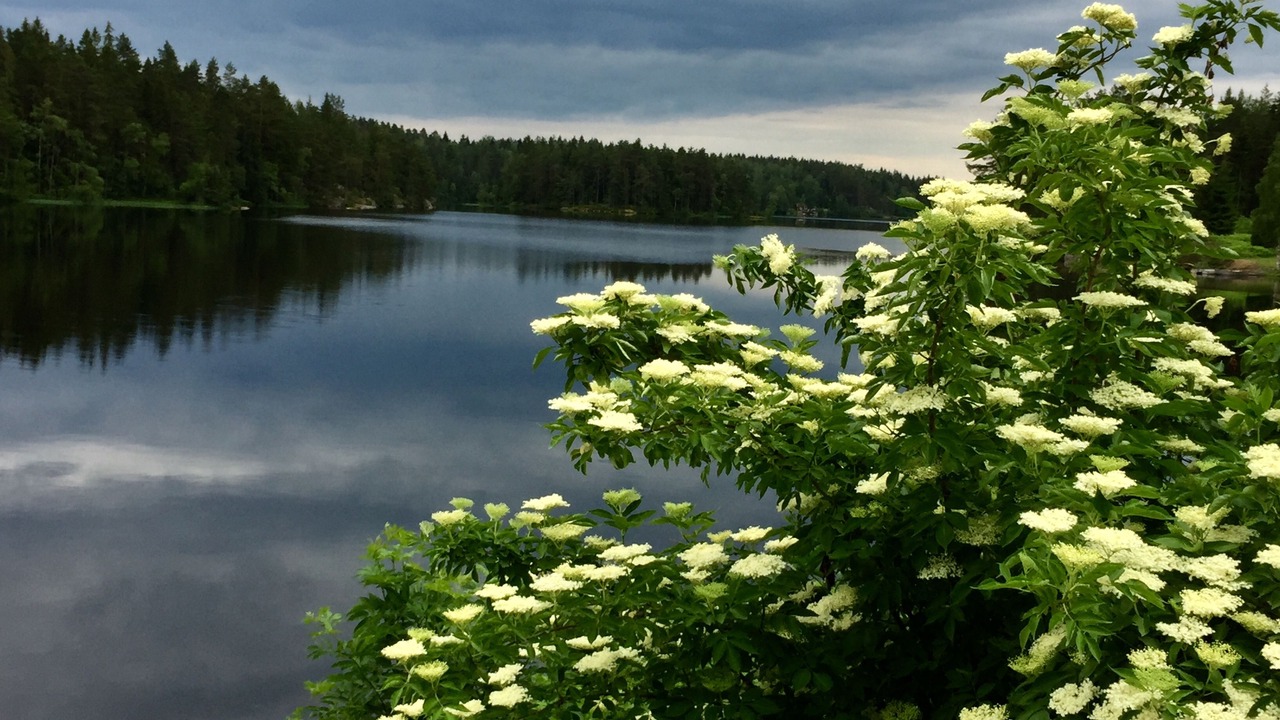 Photo of Outdoor in Asbro