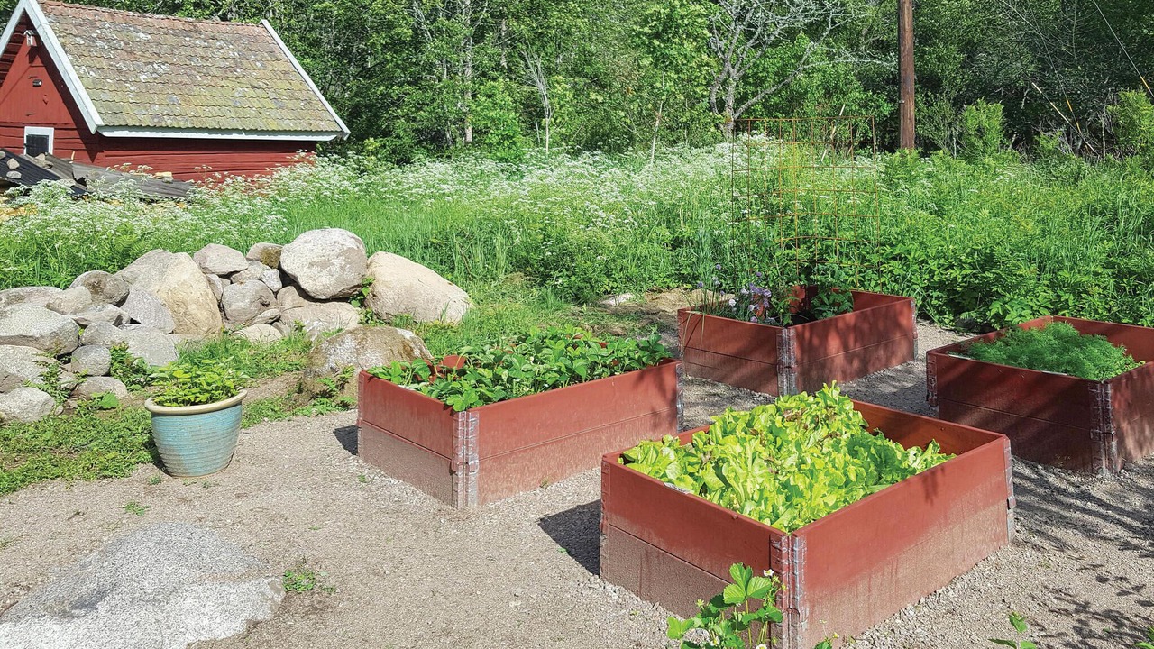 Photo of Others in Vimmerby Municipality
