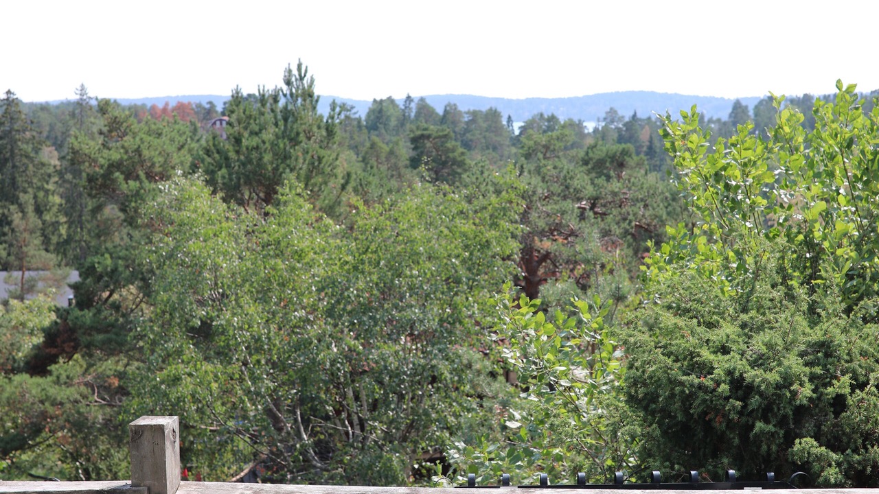 Photo of Outdoor in Algoo