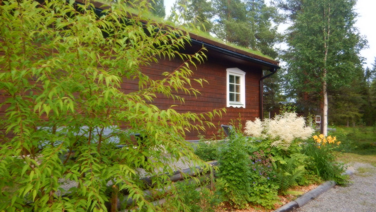 Photo of Outdoor in Sorsele