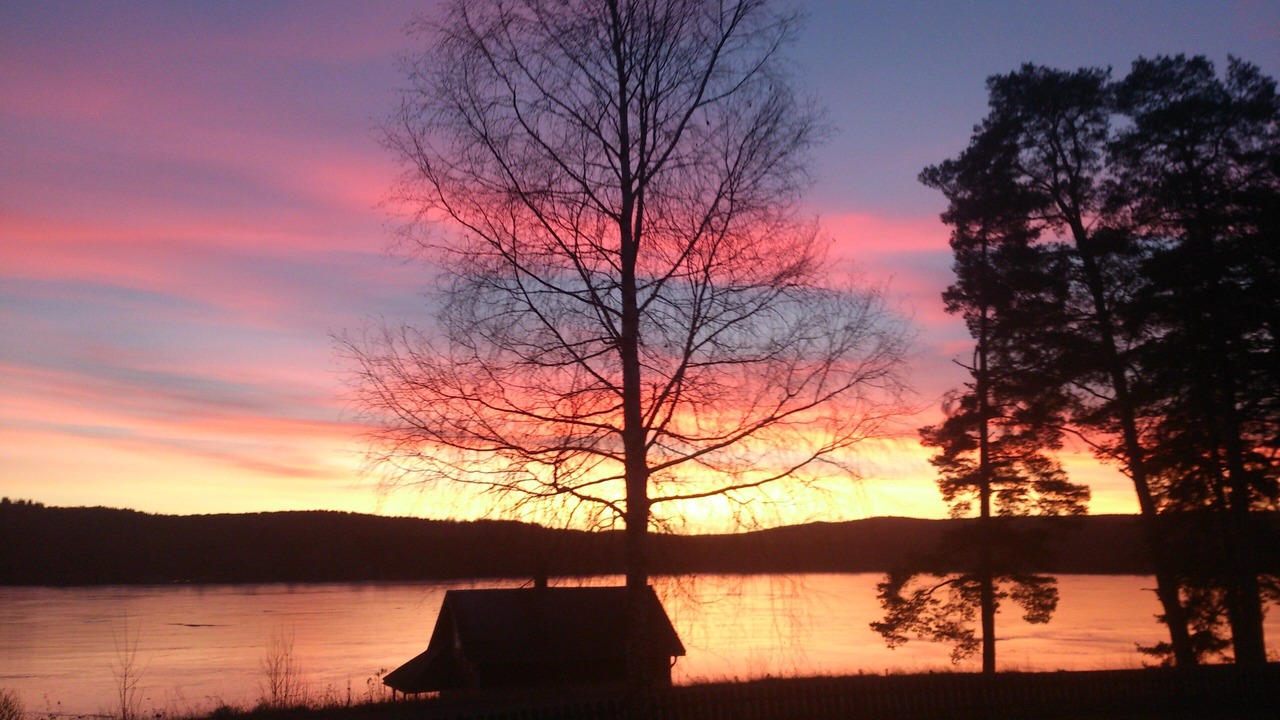 Photo of Others in Overbyn