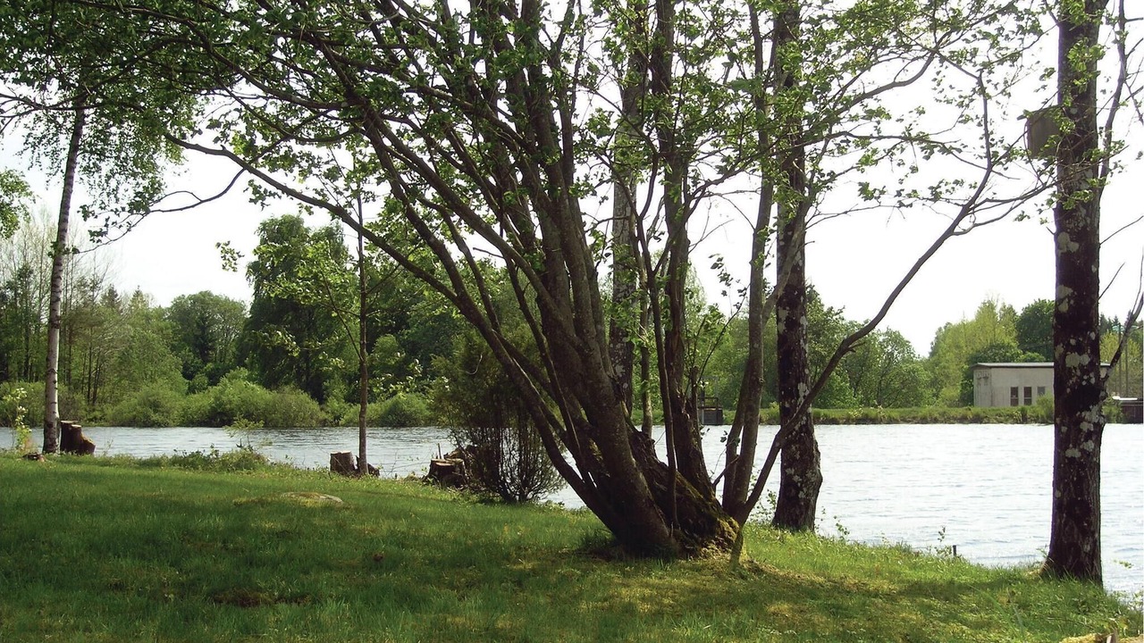 Photo of Others in Langaryd