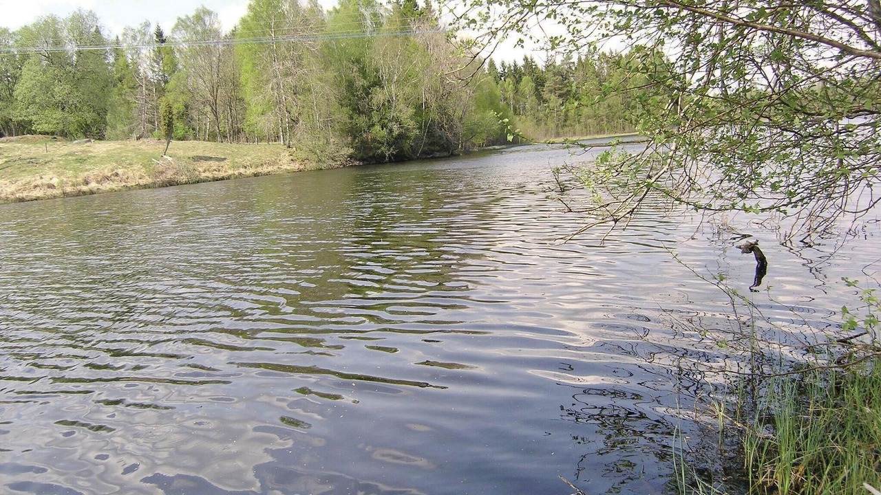 Photo of Others in Langaryd