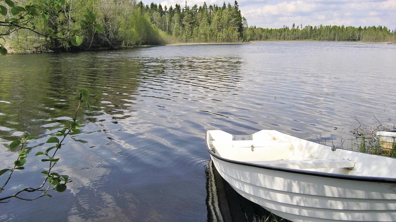 Photo of Others in Langaryd