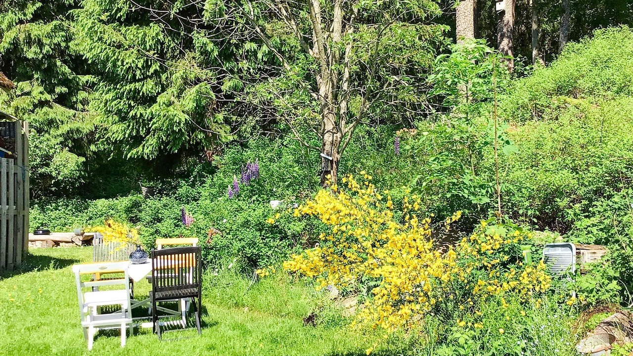 Photo of Outdoor in Kallsjo