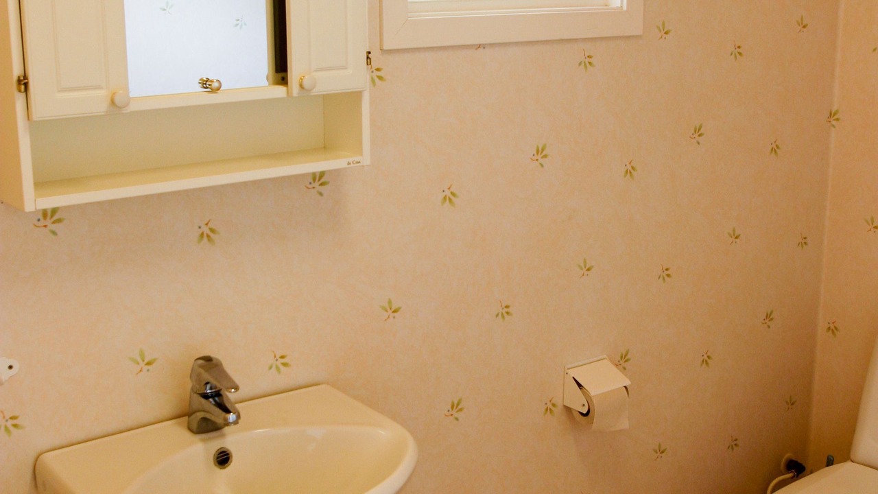 Photo of Bathroom in Stora Fro