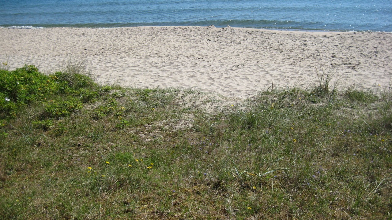 Photo of Others in Degeberga