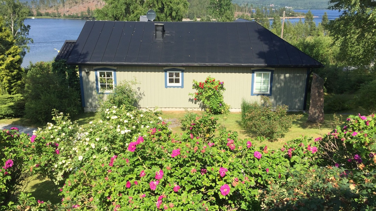 Photo of Outdoor in Docksta