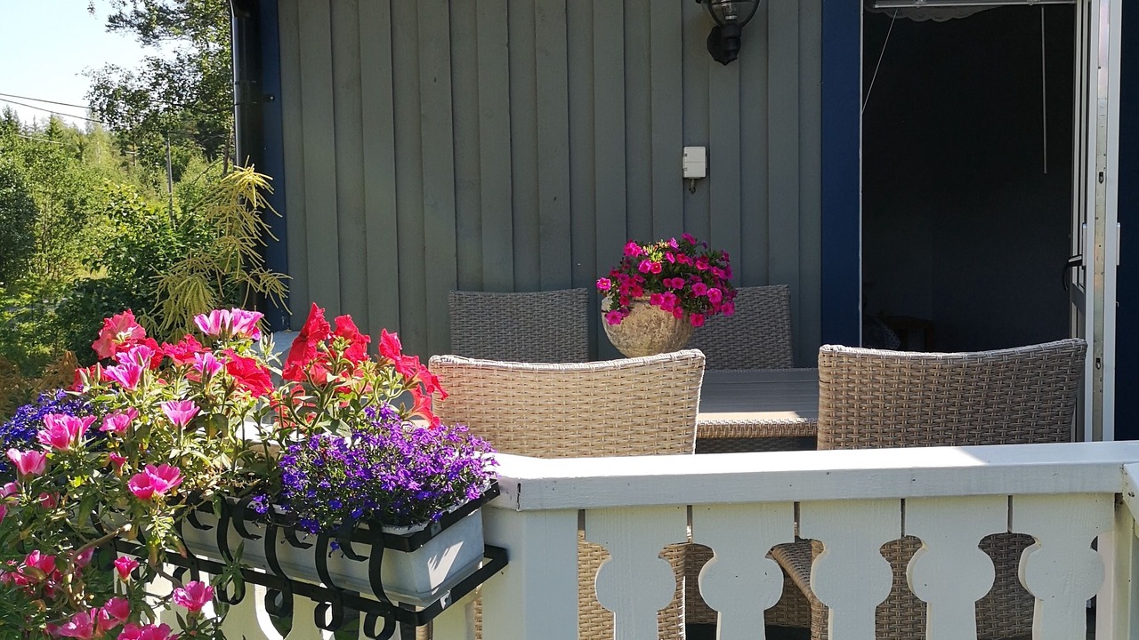 Photo of Outdoor in Docksta
