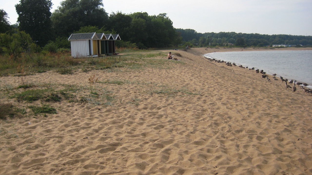 Photo of Others in Simrishamn