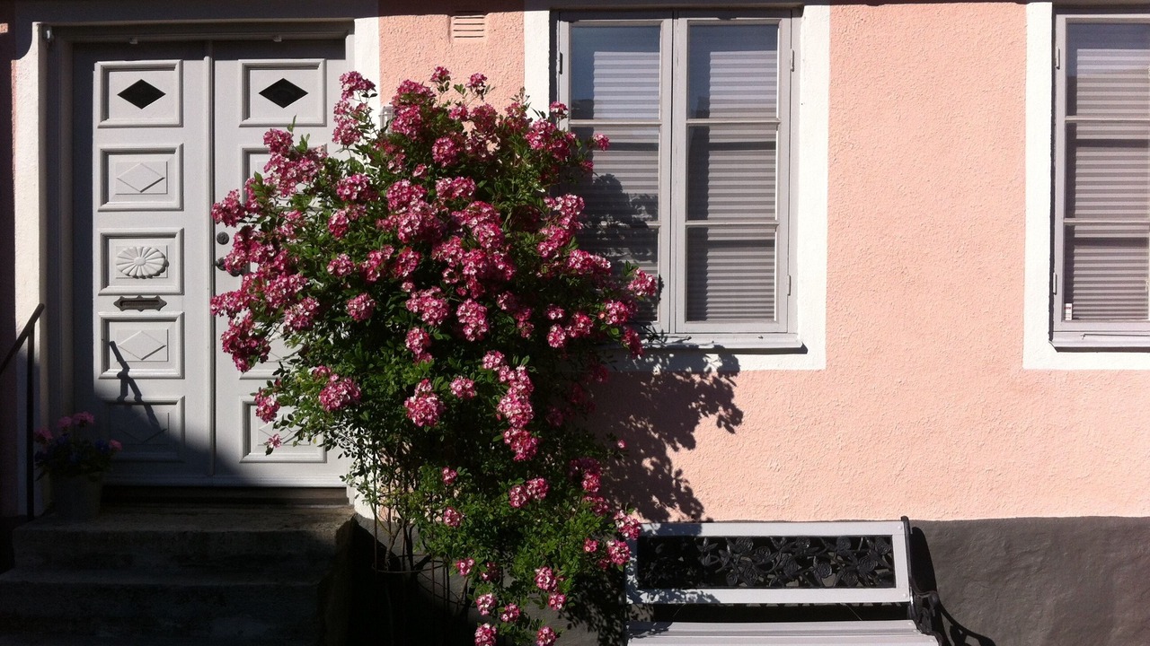 Photo of Outdoor in Simrishamn
