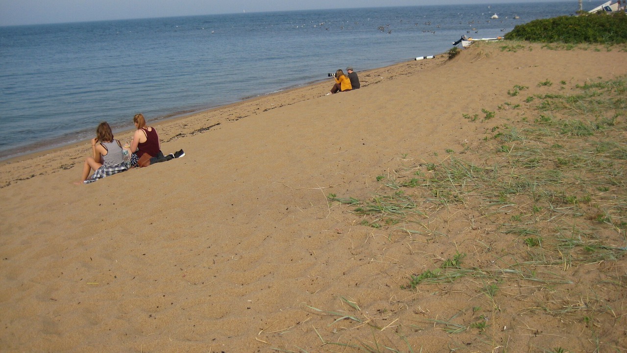 Photo of Others in Simrishamn