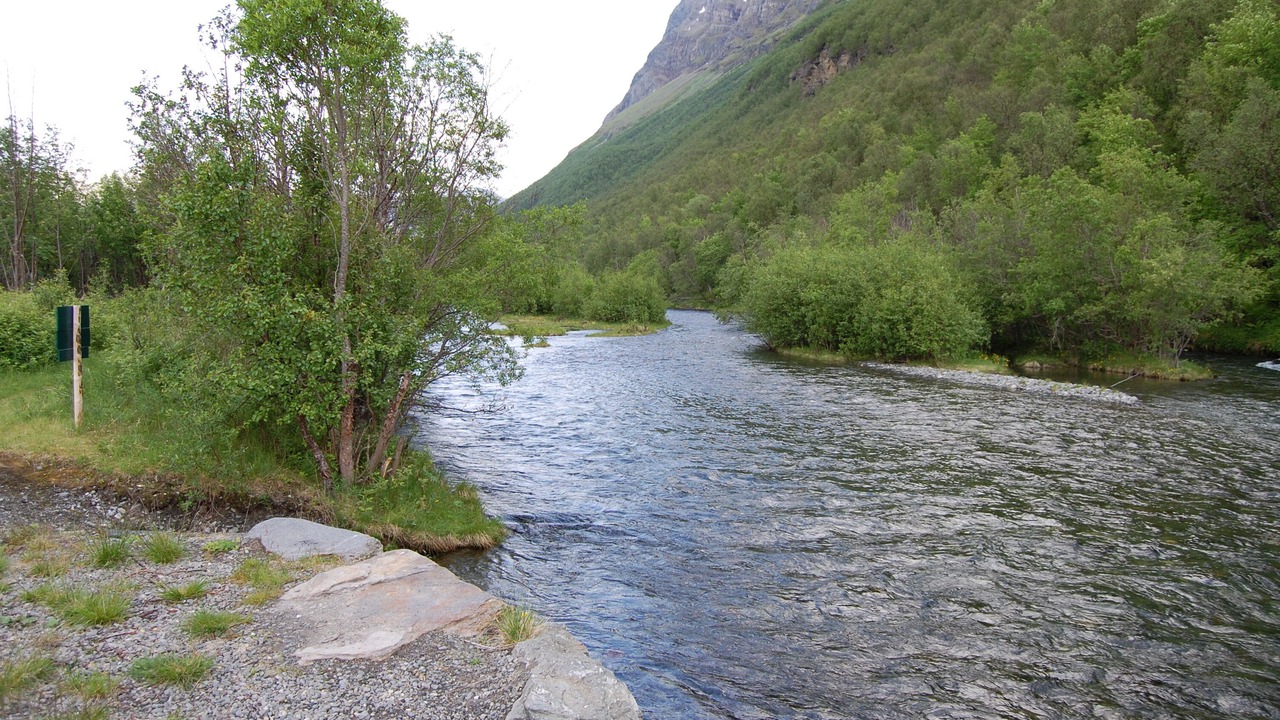 Photo of Outdoor in Birtavarre