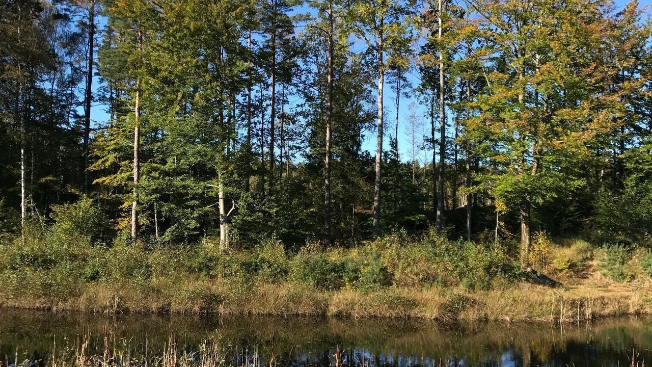Photo of Outdoor in Hastveda