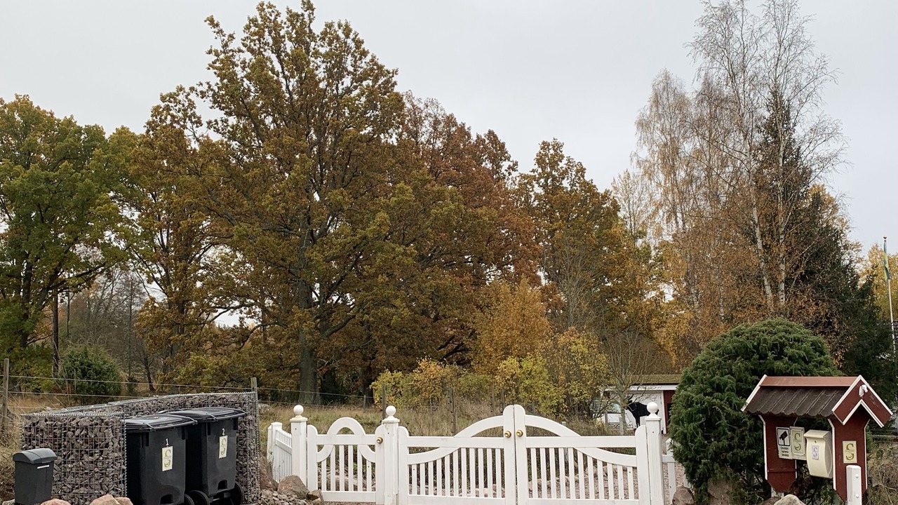 Photo of Outdoor in Rum