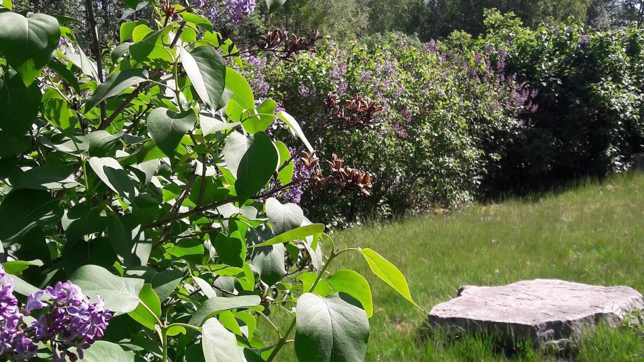 Photo of Outdoor in Markaryd