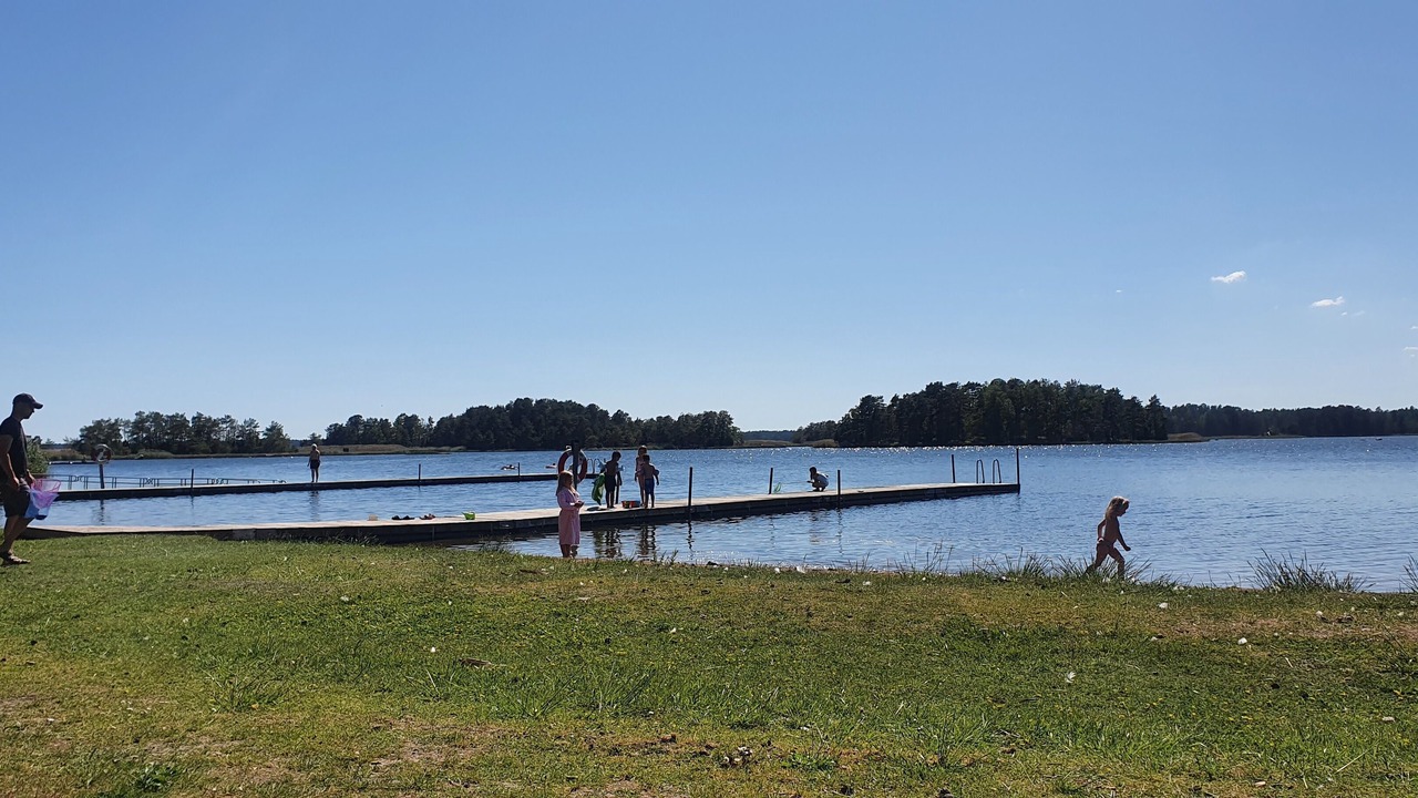Photo of Outdoor in Monsteras