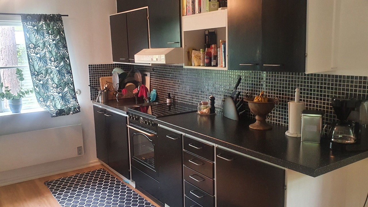 Photo of Kitchen in Monsteras
