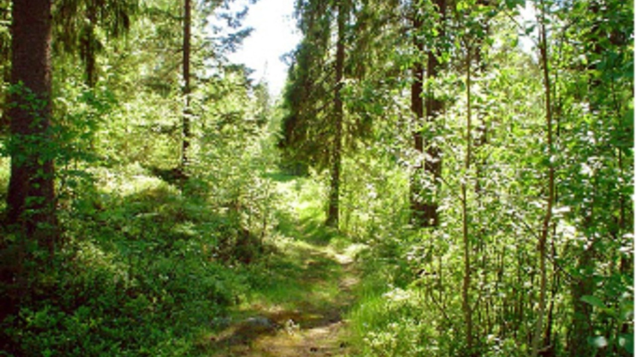 Photo of Outdoor in Anaset
