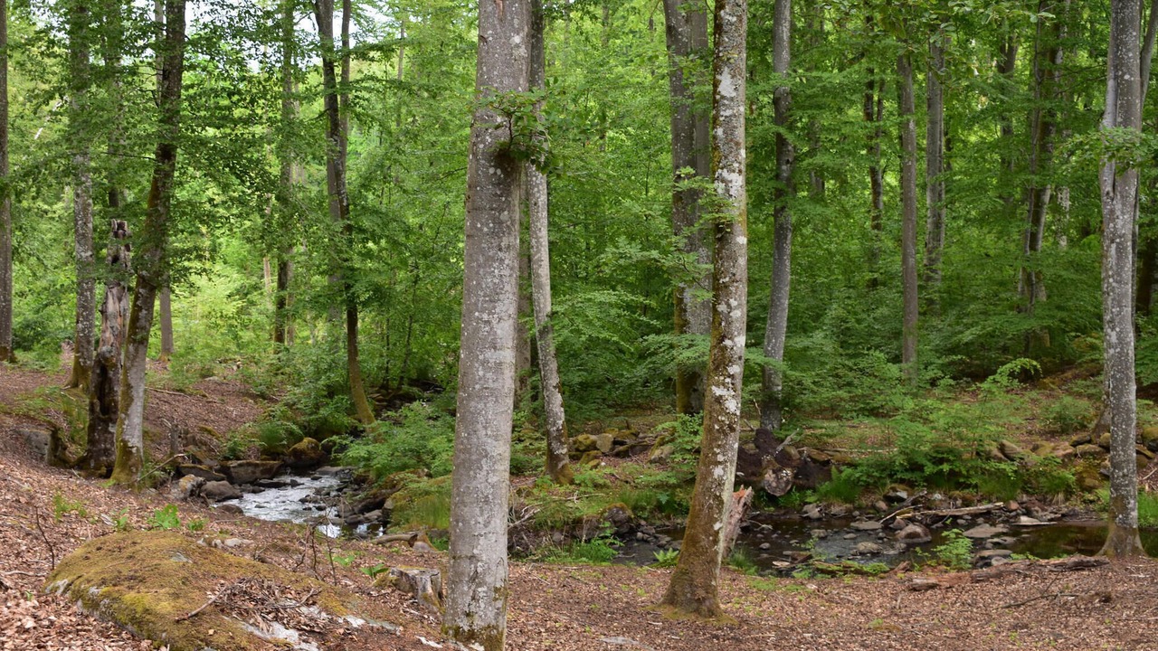 Photo of Others in Vinslov