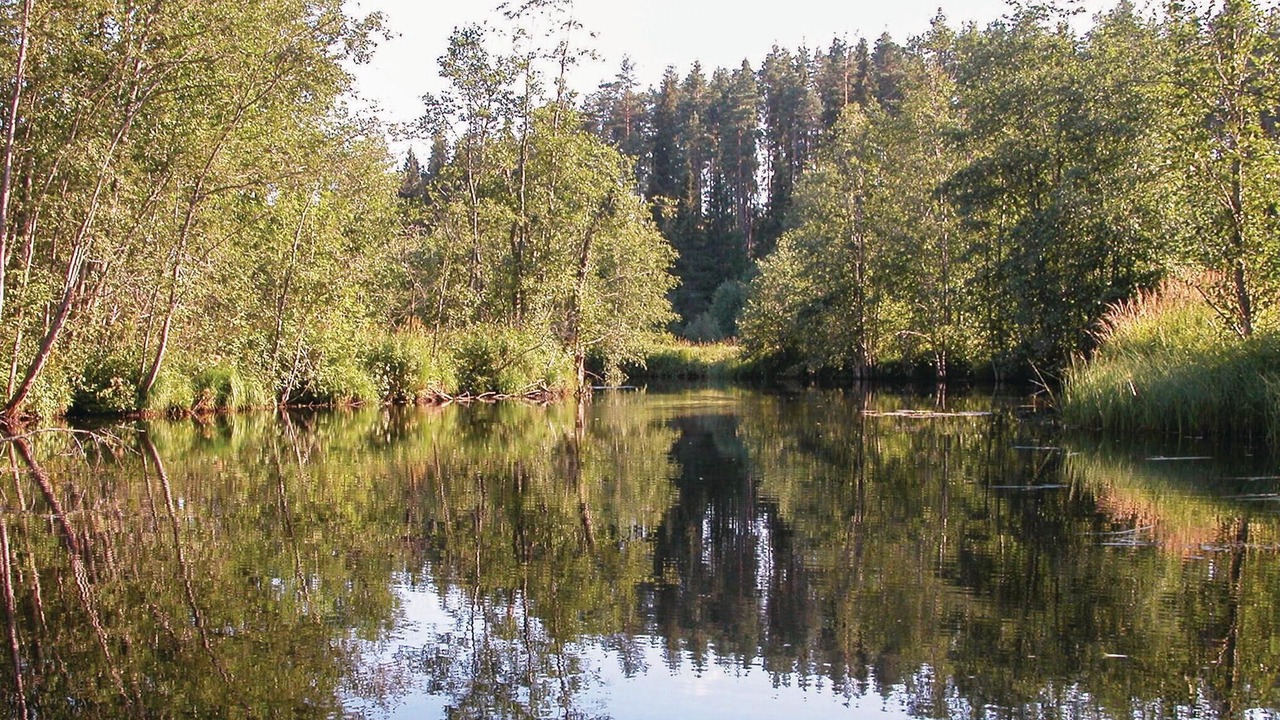 Photo of Others in Nordmark