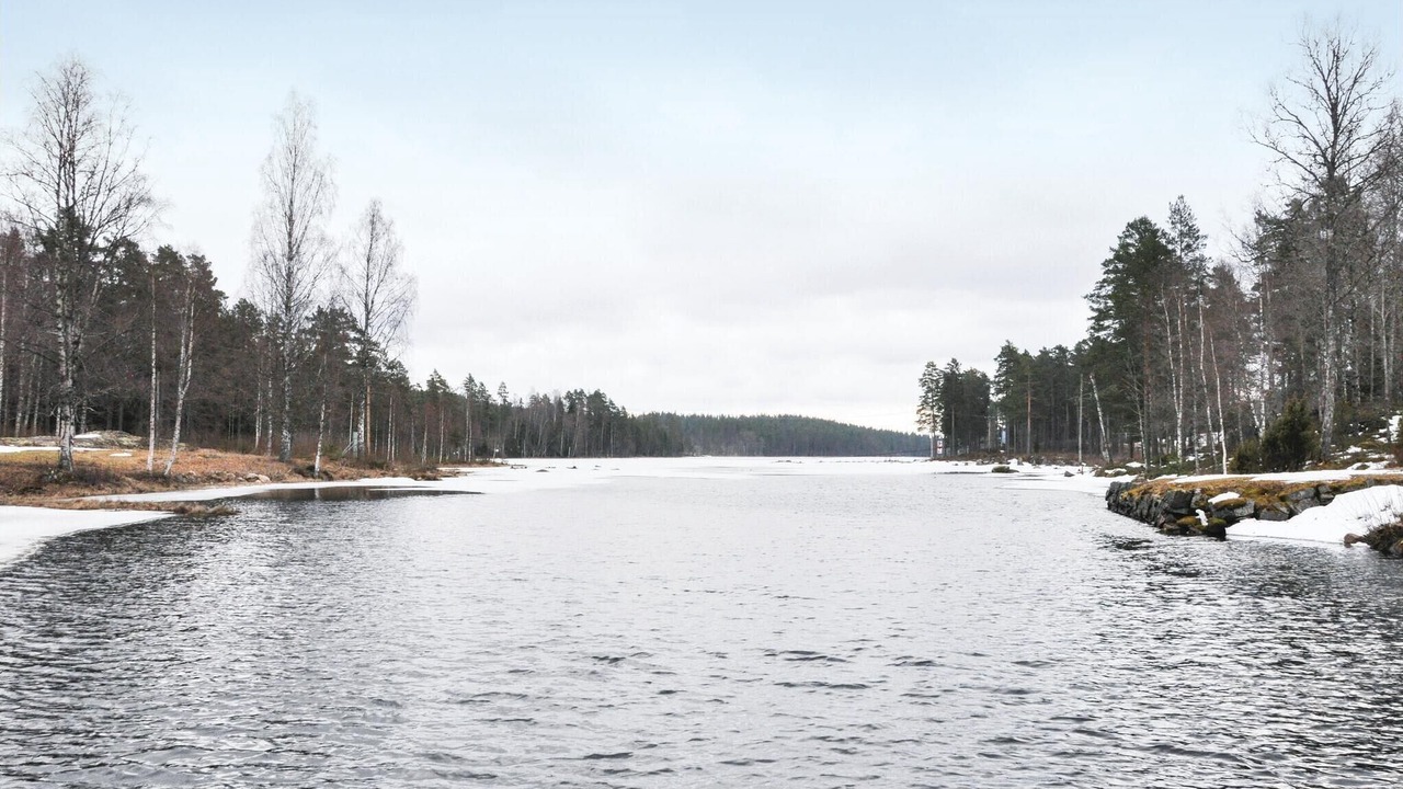 Photo of Others in Gunnarskog