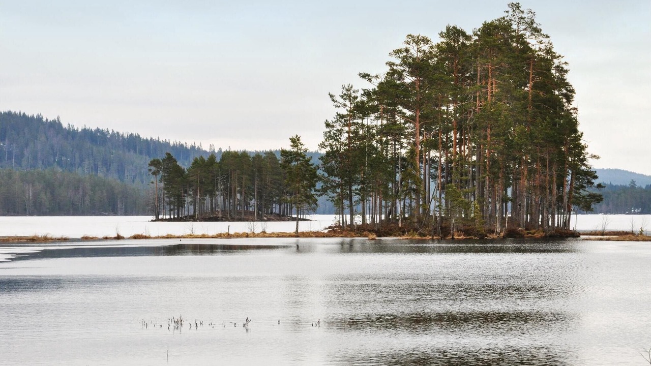 Photo of Others in Gunnarskog
