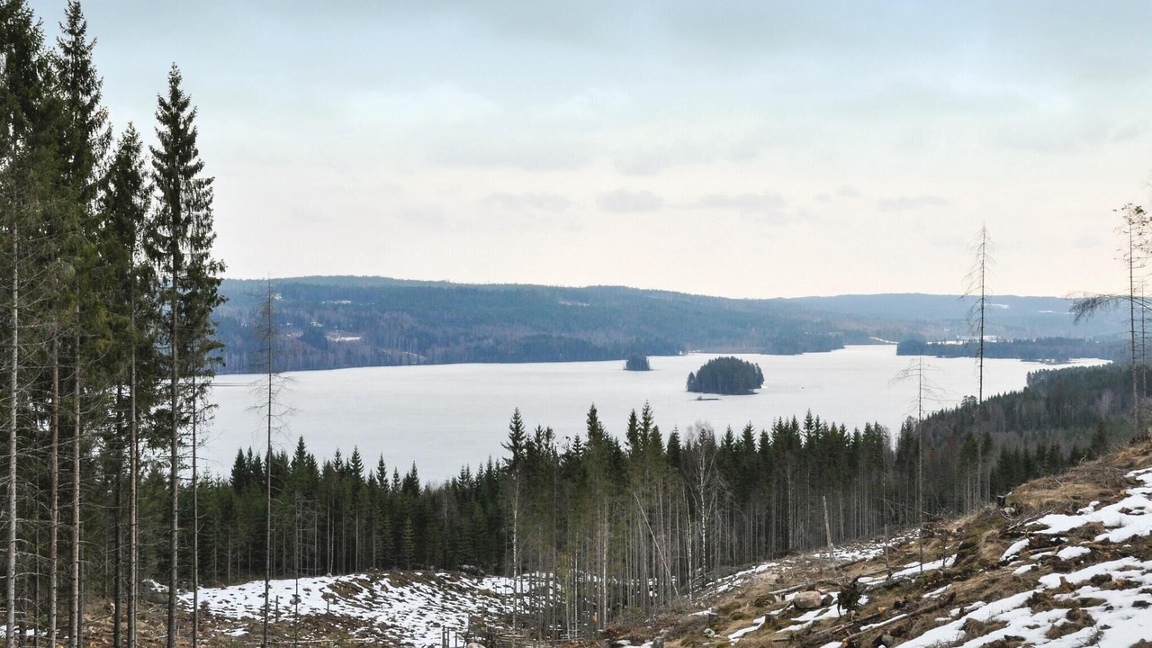 Photo of Others in Gunnarskog